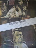 Poster for Flori de gheață