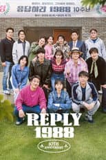 Poster for Reply 1988 10th Anniversary