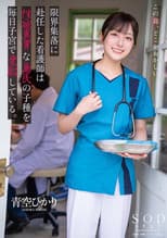 Poster for A nurse assigned to a remote village impregnated daily by lustful islanders' seed. Aozora Hikari