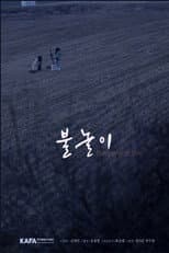 Poster for Playing with Fire