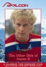 Poster for The Other Side of Aspen II