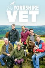 Poster for The Yorkshire Vet