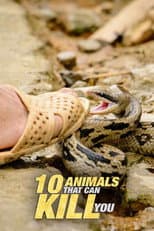 Poster for 10 Animals That Will Kill You