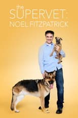 Poster for The Supervet: Noel Fitzpatrick