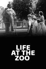 Poster for Life at the Zoo