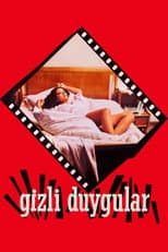 Poster for Secret Intentions