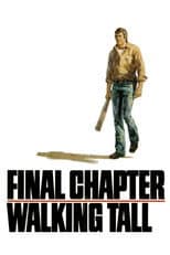 Poster for Final Chapter: Walking Tall