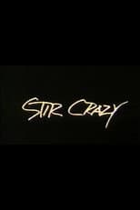Poster for Stir Crazy