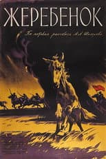 Poster for The Colt