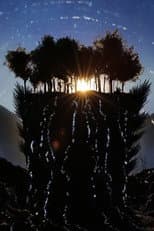 Poster for Proxima B