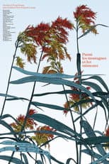 Poster for Among Mountains and Streams