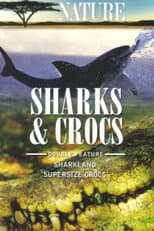 Poster for Sharkland