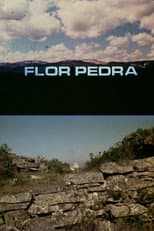 Poster for Flor Pedra