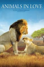 Poster for Animals in Love