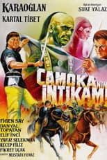 Poster for Karaoglan: Camoka's Revenge