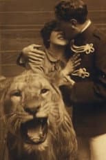 Poster for Love Amongst the Lions