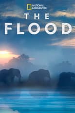 Poster for The Flood