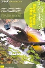 Poster for Birds from the Gods