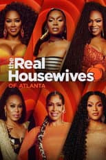 Poster for Season 15