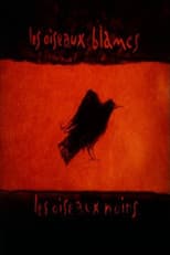 Poster for Les oiseaux blancs, les oiseaux noirs
