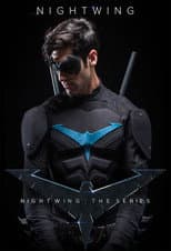 Poster for Nightwing: The Series