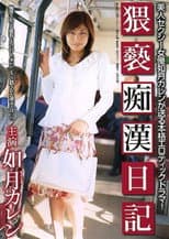Poster for Chikan Diary Obscenity