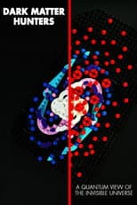 Poster for Dark Matter Hunters: a Quantum View of the Invisible Universe