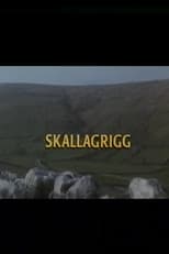 Poster for Skallagrigg