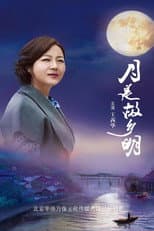 Poster for 月是故乡明