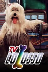 Poster for TV Colosso