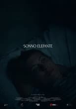 Poster for Sonno Elefante