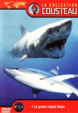 Poster for La Collection Cousteau N° 1 | Le Grand Requin Blanc | Les Requins Dormeurs Du Yucatan