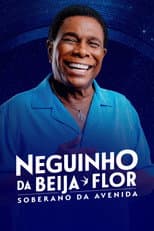 Poster for Neguinho da Beija-Flor - Soberano da Avenida