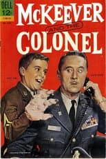 Poster for McKeever and the Colonel