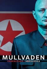 Poster for The Mole - Infiltrating North Korea