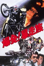 Poster for Detonation: Violent Riders