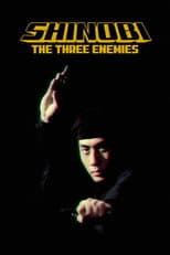 Poster for Shinobi no mono 8: The Three Enemies
