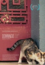 Poster for Domingo 33°