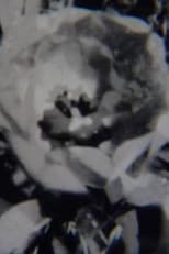 Poster for Untitled II