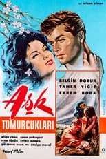 Poster for Aşk Tomurcukları
