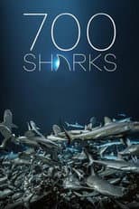 Poster for 700 Sharks