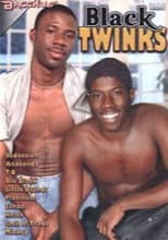 Poster for Black Twinks
