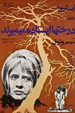 Poster for Trees Die Standing