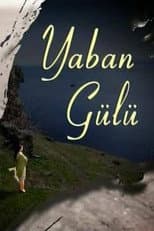 Poster for Yaban Gülü