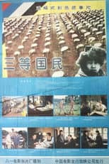 Poster for The Third Class Citizen