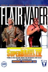 Poster for WCW SuperBrawl IV