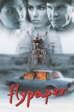 Poster for Flypaper