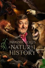 Poster for Fantastic Beasts: A Natural History
