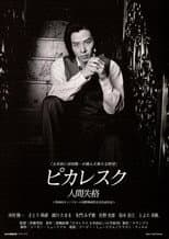 Poster for Picaresque