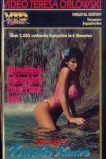 Poster for Foxy Lady's versteckte Kamera 2